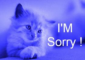 Image result for I AM Sorry GIF Meme