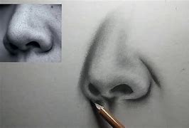 Image result for Shaded Nose Drawing