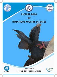 Image result for Diseases of Swine Book