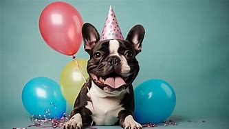 Image result for Party Dog Smiley