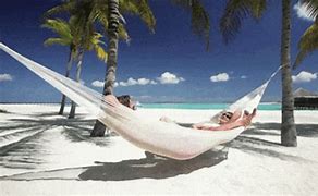 Image result for Life Is Good Beach