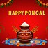 Image result for Pongal Background