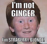 Image result for Ginger Talking Tom Meme