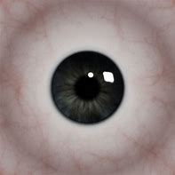 Image result for Eye Red Eyes Texture