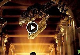 Image result for Night at the Museum 2006 Full Screen