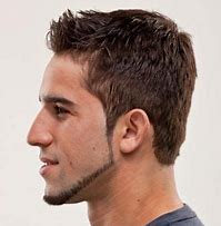 Image result for Thin Beard