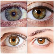 Image result for Dark Grey Hazel Eyes