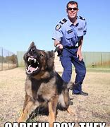 Image result for Funny Police Dog Memes