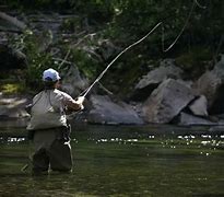 Image result for Fly Fishing Catching a Fish Photo