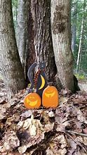 Image result for Black Cat Halloween Decorations