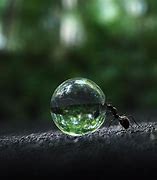 Image result for Ant Drops