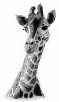 Image result for Baby Giraffe Art