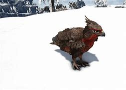 Image result for Fjordhawk Ark