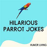 Image result for Parrot Humor