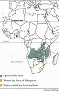 Image result for Mimbombia South West Africa