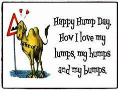 Image result for Happy Hump Day Commercial