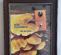 Image result for MXR Guitar Pedals Logo