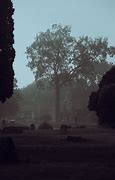 Image result for Foggy Graveyard