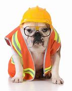 Image result for Working Animal