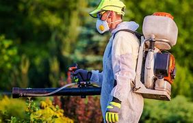 Image result for Pest Control Services Images