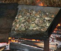 Image result for How to Do a Oyster Roast