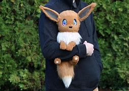 Image result for Eevee Doll