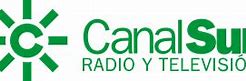 Image result for Canal Sur Television Logo Black