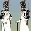 Image result for Napoleonic Imperial Guard