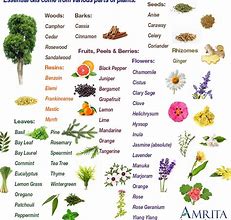 Image result for Things to Make with Essential Oils