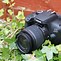 Image result for Canon D400