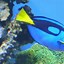 Image result for Black Fish From Nemo