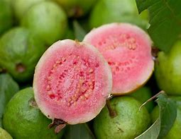 Image result for Pink Guava Necktar