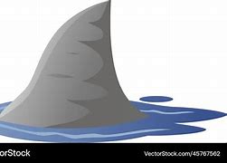 Image result for Shark Fin Hunting