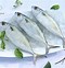 Image result for Indian Mackerel