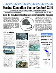 Image result for Marine Science Camp Poster