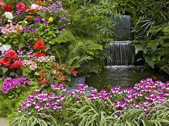 Image result for Flower Garden Screensavers Free