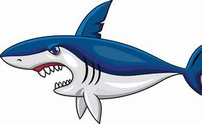 Image result for Angry Shark Clip Art