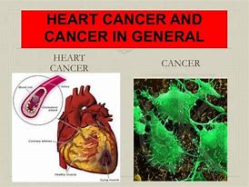 Image result for Heart for Cancer