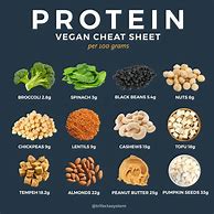 Image result for 100G Protein Vegan Meal Plan