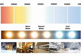 Image result for 6500K LED Bulb