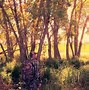 Image result for Realtree Camo Deer