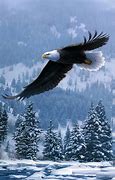 Image result for Storm'n Eagle HD