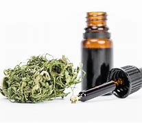 Image result for Marijuana Extract