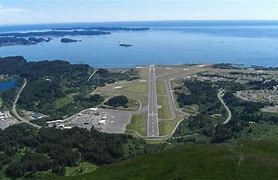 Image result for Kodiak Bear Anchorage Airport