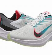 Image result for Nike Zoom Winflo X