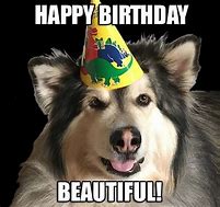 Image result for Puppy Birthday Meme