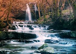 Image result for Forest River Waterfalls