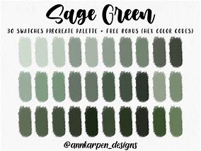 Image result for Light Sage Green Colour