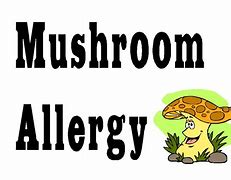 Image result for Mushroom Allergy