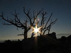 Image result for Castle Valley Utah Moab